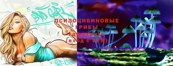 не бодяженный Алексин
